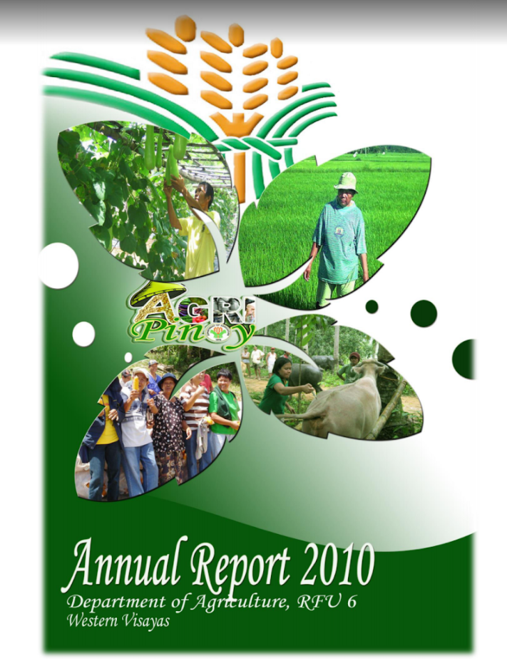 
2010 Annual Report